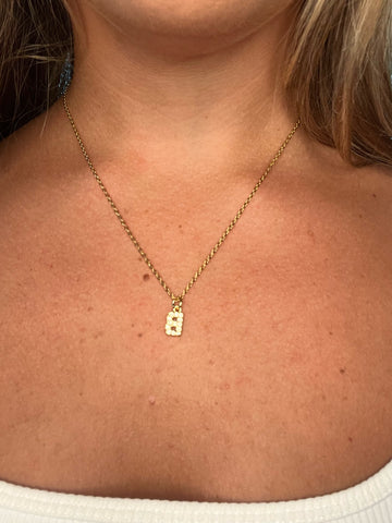 Dainty Cubic Zirconia Initial Necklace